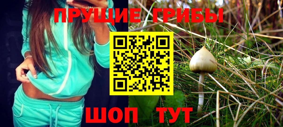 Бутурлиновка  Псилоцибиновые грибы Psilocybine cubensis  Вход с VPN 